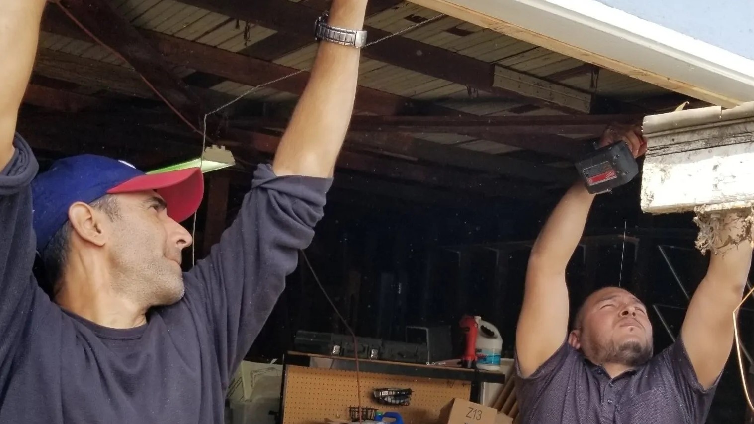 Cook County garage door exterior